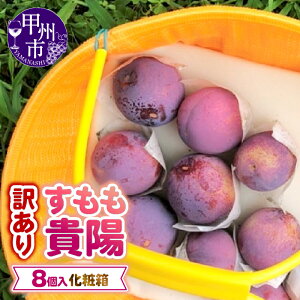 yӂ邳Ɣ[Łz 󂠂  Mz 2026N s\ Iׂe 1.1kg`1.9kg 8ʁ`11 7 8  RY t[c ʕ n Â  X ① Ԍ ʌ ϔ