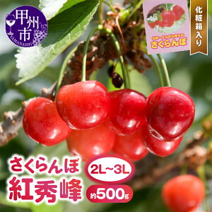 yӂ邳Ɣ[Łz  gG 2026N s\ Iׂe 300g 500g 2L`3L TCY ol ϔ 6  嗱 Â x x20xO ʕ t[c `F[ { lC M