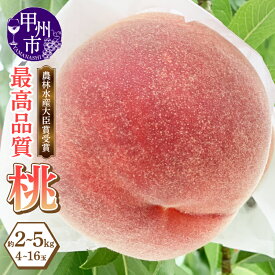 【ふるさと納税】 桃 2026年 先行予約 選べる内容量 約2kg 約3kg 約5kg 4〜16玉 果物 もも モモ 大藤の桃 白鳳系 白桃系 フルーツ 果実 デザート 朝どれ 採れたて 6月 7月 8月 9月 発送 新鮮 産地直送 数量限定 期間限定 最高品質 贈答 ギフト 家庭用 山梨県 甲州市 (LMS)