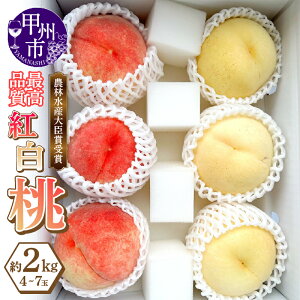 yӂ邳Ɣ[Łz  2026N s\ 2kg 4`7 n 員̓ g Zbg ʕ t[c ʎ fU[g Mtg   ǂ ̂ꂽ VN W[V[ Yn R bBsY 