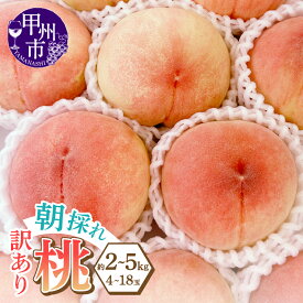 【ふるさと納税】 訳あり 桃 2026年 先行予約 選べる内容量 約2kg 約3kg 約5kg 家庭用 果物 大藤の桃 白鳳系 白桃系 フルーツ 果実 2026年発送 冷蔵 採れたて 朝どれ 産地直送 新鮮 山梨県 甲州市 わけあり キズ 色ムラ サイズ 不揃い 規格外 期間限定 数量限定 人気 (LMS)