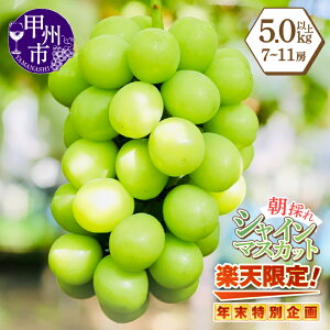 �y�ӂ邳�Ɣ[�Łz�s�N�����ʊ��t�y�V���� �V���C���}�X�J�b�g 2026�N ��s�\�� �I�ׂ���e�� 1kg 2kg 3kg 5kg 8�� 9�� 10�� �ʕ� ���� �Ԃǂ� �}�X�J�b�g ���ʌ��� ���Ԍ��� ���̂� �t���[�c ����