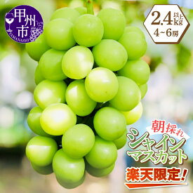 【ふるさと納税】 楽天限定 シャインマスカット 選べる容量 1kg 2kg 3kg 5kg 8月 9月 10月 2026年 先行予約 果物 ぶどう 数量限定 期間限定 フルーツ おすすめ 産地直送 山梨県 甲州市 社員マスカット ランキング まずはお試し 10000円 以下 （LMS）