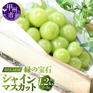 yӂ邳Ɣ[Łz VC}XJbg 2026N s\ Iׂ e N 1kg`3kgȏ 2`6[ bBsY }XJbg Ԃǂ ʕ VN  t[c Â 傫 ʎ lC Ԍ 