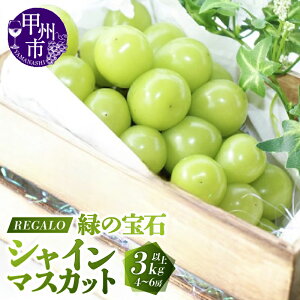 yӂ邳Ɣ[Łz 2026N s\ VC}XJbg Iׂ e 1kg`3kgȏ 2`6[ 8 9 10  bBsY }XJbg Ԃǂ ʕ VN  t[c Â 傫 ʎ lC 