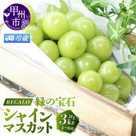 【ふるさと納税】 冷蔵便 シャインマスカット 2026年 選べる内容量 1kg〜3kg以上 2〜6房 8月 9月 10月 発送 甲州市産 マスカット ぶどう 果物 期間限定 冷蔵 クール 新鮮 くだもの フルーツ 甘い 大きい 果実 人気 山梨県 甲州市 社員マスカット （RG）