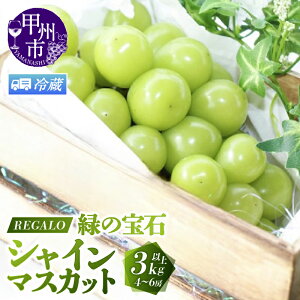 yӂ邳Ɣ[Łz ① VC}XJbg 2026N Iׂe 1kg`3kgȏ 2`6[ 8 9 10  bBsY }XJbg Ԃǂ ʕ Ԍ ① N[ VN  t[c Â 