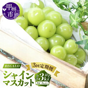 yӂ邳Ɣ[Łz 2026N s\  VC}XJbg Iׂ  2 3 1kgȏ 2[ 3[ ʕ t[c 9 { { {  Ԍ Yn R bBs Ԃǂ  uhE