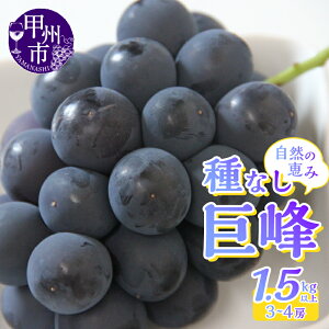 yӂ邳Ɣ[Łz  햳 2026N s\ Iׂ e N 1.2kgȏ`1.5kgȏ 2`4[ 2025N Ԃǂ uhE ʕ bBs R t[c  Â Z ʎ  lC Y 