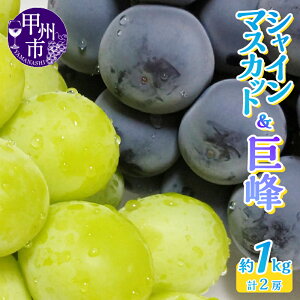 yӂ邳Ɣ[Łz VC}XJbg  2 2026N s\ 2[ 1.0kg Iׂ N Hה 2025N Ԍ 8`10  ʕ t[c Ԃǂ 荇킹 }XJbg lߍ킹 Â 