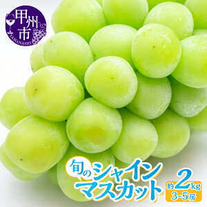 �y�ӂ邳�Ɣ[�Łz �V���C���}�X�J�b�g 2026�N ��s�\�� �I�ׂ���e�� ��1kg�`��2kg 2�`5�[ �ʕ� �t���[�c �Ԃǂ� 8�� 9�� 10�� ���� ���� �u�h�E ���ʌ��� ���Ԍ��� �Â� �ʎ� �������� ��Ȃ� �W