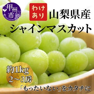 �y�ӂ邳�Ɣ[�Łz �󂠂� �V���C���}�X�J�b�g 2026�N ��s�\�� ��1kg 2�`3�[ �ʕ� �① �N�[���� ���Ԍ��� ���ʌ��� 8�� 9�� 10�� ���� �}�X�J�b�g �Ԃǂ� ���� �Â� �t���[�c �ʎ� �������� �l�C 