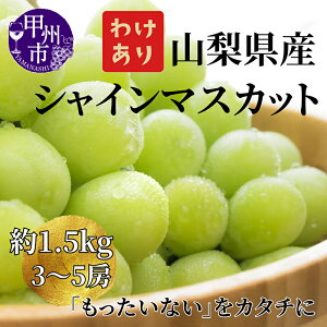 �y�ӂ邳�Ɣ[�Łz �󂠂� �V���C���}�X�J�b�g 2026�N ��s�\�� ��1.5kg 3�`5�[ �ʕ� �① �N�[���� ���Ԍ��� 8�� 9�� 10�� ���� �}�X�J�b�g �Ԃǂ� ���� �Â� �t���[�c �ʎ� �������� ���ʌ��� �l