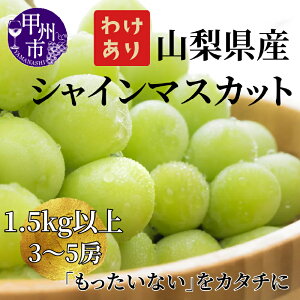 yӂ邳Ɣ[Łz 󂠂 VC}XJbg 1.5kgȏ 3`5[ ʕ ① N[ Ԍ 8 9 10  2025N }XJbg Ԃǂ  uhE Â t[c ʎ  ʌ