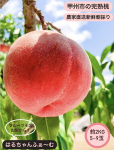 �y�ӂ邳�Ɣ[�Łz �� �� 2kg 5�`9�� 2026�N���� ���P�n �����n �ʕ� �������� �t���[�c ���� �V�N �ʎ� �{ �b�B�s �R�� ���Ԍ��� ���ʌ��� �l�C ���荇�킹 ���� �M�t�g �ƒ�p 7�� 8�� ���� �iHCF