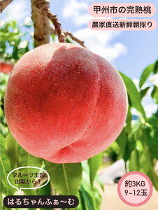 �y�ӂ邳�Ɣ[�Łz �� �� 3kg 9�`12�� 2026�N���� ���P�n �����n �ʕ� �������� �t���[�c ���� �V�N �ʎ� �{ �b�B�s �R�� �l�C ���Ԍ��� ���ʌ��� 7�� 8�� ���� ���荇�킹 ���� �M�t�g �ƒ�p �iHCF