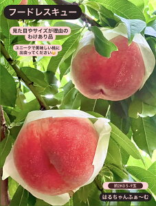 �y�ӂ邳�Ɣ[�Łz �� �󂠂� �� 2kg 5�`9�� 2026�N���� �ʕ� �������� �t���[�c ���� �_�ƒ��� ������ �V�N �{ �b�B�s �R�� ���ʌ��� ���Ԍ��� 2026�N���� 7�� 8�� ���� �t�[�h���X�L���[ �L�Y �ւ�