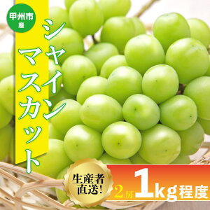 yӂ邳Ɣ[Łz VC}XJbg 2[ 1kg t[c ʕ  Ԃǂ }XJbg 2025N Yn ① N[ 8 9 10  Ԍ VN Â W[V[ bBs R 