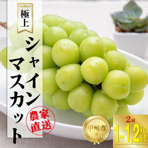 yӂ邳Ɣ[Łz VC}XJbg 2[ 1kg`1.2kg t[c ʕ Ԃǂ  }XJbg 2025N ① N[ Yn 8 9 10  Ԍ ̂ VN Â ɏ ʎ 