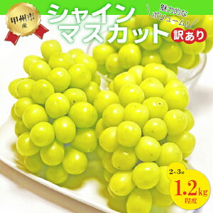 yӂ邳Ɣ[Łz 󂠂 VC}XJbg 2`3[ 1.2kg t[c ʕ  Ԃǂ }XJbg 2025N Yn ① N[ 8 9 10  Ԍ ̂ Â W[V[ ʎ