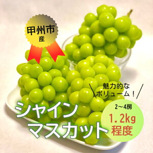 �y�ӂ邳�Ɣ[�Łz �󂠂� �V���C���}�X�J�b�g 2�`4�[ ��1.2kg 2026�N���� �N�[���� 8�� 9�� 10�� ���� �t���[�c �ʕ� ���� �Ԃǂ� �}�X�J�b�g �① �Y�n���� ���Ԍ��� ���̂� �ʎ� �u�h�E ��������