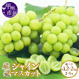 【ふるさと納税】 シャインマスカット 選べる内容量 約1.2kg～2kg 2～5房 果物 山梨県 甲州市産 厳選くだもの フルーツ 種なし 葡萄 ぶどう ブドウ 数量限定 期間限定 2025年発送 8月 9月 10月 11月 発送 新鮮 産地直送 社員マスカット （APX）