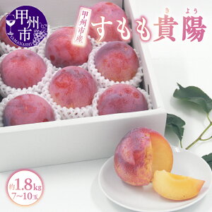 yӂ邳Ɣ[Łz  Mz 2026N s\ Iׂ e 1.5kg  1.8kg  ϔ 7`10 ① N[ ʕ t[c v lC i ʌ Ԍ 7`8  R
