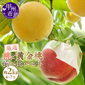 【ふるさと納税】 桃 黄金桃 2026年 先行予約 約2kg 4〜7玉 ゴールデンピーチ 果物 食べ比べ セット もも 新鮮 人気 白鳳系 白桃系 甲州市産 厳選 産地直送 フルーツ 山梨 期間限定 数量限定 7月 8月 9月 発送 盛り合わせ （APX） 【B12-196】