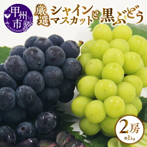 yӂ邳Ɣ[Łz VC}XJbg Ԃǂ 2[ 1.0kg 2l Zbg ʕ I lC  uhE t[c ʌ Ԍ 8 9 10  2025N R bBsY Ј}XJb