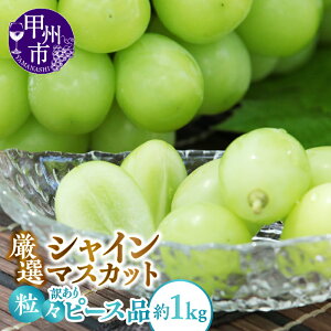 yӂ邳Ɣ[Łz VC}XJbg 󂠂 1.0kg ʕ lC I X Ȃ Ԃǂ   t[c ① N[ Ԍ ʌ 8{`11{  2025N R b