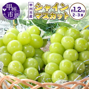 yӂ邳Ɣ[Łz r[Ly[{ VC}XJbg 2026N s\ Iׂ e N 1kg`3kg 2`6[ ʕ XC[gGh Ԍ 8`10  R bBs 