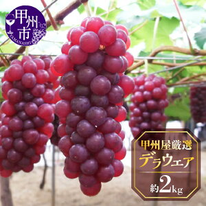 �y�ӂ邳�Ɣ[�Łz �f���E�G�A �Ԃǂ� 2026�N ��s�\�� �I�ׂ���e�� ��1kg ��2kg �① �ʕ� �t���[�c ���� �햳�� 8�� ���� �N�[���� �b�B�s�Y �V�N �Y�n���� ���Ԍ��� ���ʌ��� �{ �̂ꂽ�� ���I