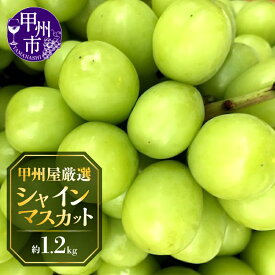【ふるさと納税】 シャインマスカット 2026年 選べる内容量 約1.2kg 約2.2kg 3kg以上 2〜8房 果物 フルーツ 8月 9月 10月 発送 冷蔵 クール 契約栽培 葡萄 ぶどう シャイン 産地直送 朝どれ 新鮮 厳選 種無し 青果品 甲州屋 山梨 甲州市