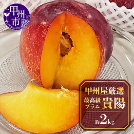 【ふるさと納税】 すもも 貴陽 2026年 先行予約 約2kg 大粒 化粧箱入り 最高級 新品種 プラム 果物 フルーツ 人気 厳選 数量限定 期間限定 季節限定 7月 8月 発送 冷蔵 クール 山梨 甲州市 甲州屋 【B15-132】