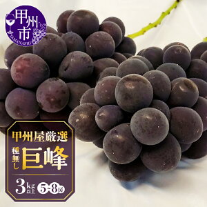 yӂ邳Ɣ[Łz Ԃǂ  햳 Iׂe 1.5kgȏ 3kgȏ 3`8[ bBsY 2025N I ʕ  t[c  uhE RY Ԍ ʌ  Mtg 8 9