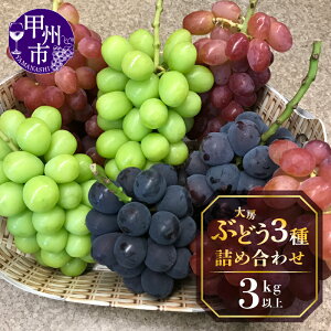 yӂ邳Ɣ[Łz Ԃǂ 3 lߍ킹 Hה Iׂe 1.5kgȏ 3kgȏ ① N[ VC}XJbg  sI[l bH Tj[h`F NCj[i Ԍ ʕ 