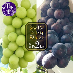 �y�ӂ邳�Ɣ[�Łz �V���C���}�X�J�b�g ���� 2026�N ��s�\�� �e2�`3�[ ��2kg �Z�b�g �H�ה�� �햳�� ���I �{ �̂ꂽ�� ���Ԍ��� �t���[�c �ʕ� �������� ���� �Ԃǂ� �u�h�E �Â� �f�U�[�g �V�N