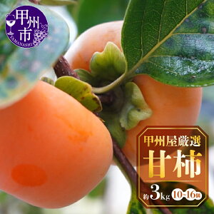 yӂ邳Ɣ[Łz Ê` ` 3kg 10`16 t[c xL` H JL ʕ VN bBsY ʕi h{ ח\h bBI Ԍ ʌ  2025N 10 11   