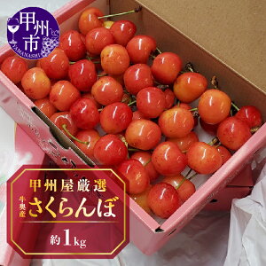 �y�ӂ邳�Ɣ[�Łz �������� 2026�N ��s�\�� �I�ׂ���e�� ��500g ��1kg �`�F���[ 6�� ���� ���ʌ��� ���Ԍ��� �b�B�����I �����Y �ʕ� �t���[�c �΂�l�� ���ϔ��� �b�B�s�Y �R��