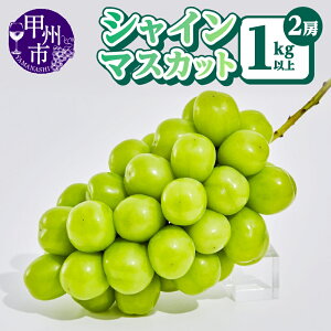 �y�ӂ邳�Ɣ[�Łz �V���C���}�X�J�b�g 1kg�ȏ� 2�[ �ʕ� �① �R���� �_�ѐ��Y��b�܎�� 2026�N���� ���Ԍ��� 8�� 9�� 10�� ���� �N�[�� �b�B�s�Y �嗱 �������� �t���[�c ���� �Ԃǂ� �Y�n���� 