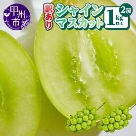 【ふるさと納税】 シャインマスカット 訳あり 選べる 容量 1kg 1.5kg 2～6房 果物 定期便 回数 2回 3回 期間限定 2025年 8月 9月 10月 発送 冷蔵 クール便 山梨 甲州市 くだもの フルーツ 葡萄 ぶどう 産地直送 甘い 果実 新鮮 不揃い 規格外 人気 社員マスカット (AGB)