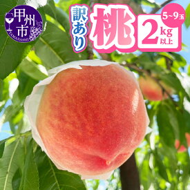 【ふるさと納税】 訳あり 桃 2026年 先行予約 2kg以上 5～9玉 果物 2026年発送 クール便 山梨県 甲州市 もも くだもの フルーツ 新鮮 人気 フードロス 家庭用 自宅用 わけあり 不揃い 規格外 期間限定 数量限定 白鳳系 白桃系 6月 7月 8月 発送 冷蔵 (AGB) 【A09-876】