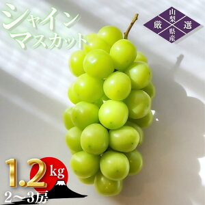 yӂ邳Ɣ[Łz VC}XJbg 1.2kg 2`3[ ʕ RbBsY Yn I { ̂ꂽ t[c uhE Â fU[g VN lC 2025N Ԍ ʌ  Mtg ƒ