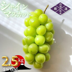 【ふるさと納税】 シャインマスカット 約2.5kg 4〜6房 2026年発送 産地直送 甲州市産 マスカット ぶどう 葡萄 ブドウ 厳選 旬 採れたて 新鮮 果物 くだもの フルーツ 数量限定 期間限定 8月 9月 10月 発送 ギフト 贈答 （ORJ） 【C5-801】