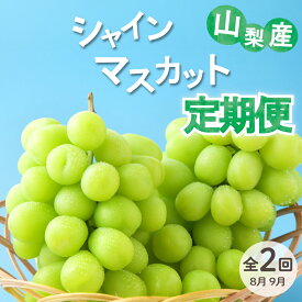 【ふるさと納税】 シャインマスカット 2026年 先行予約 定期便 約1kg 2回 2房 果物 フルーツ 大粒 旬 マスカット 人気 高級 新鮮 フレッシュ 種無し ぶどう 葡萄 ブドウ 種なし 山梨県産 産地直送 化粧箱入り ギフト 贈答 社員マスカット 山梨県 甲州市 （VYD） 【C2-885】