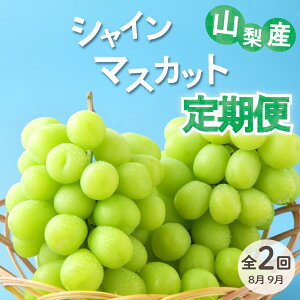 yӂ邳Ɣ[Łz VC}XJbg 2026N s\  1kg 2 2[ ʕ t[c 嗱 { }XJbg lC  VN tbV 햳 Ԃǂ  uhE Ȃ RY Yn