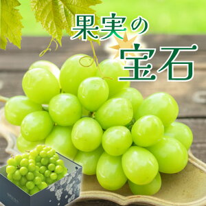 yӂ邳Ɣ[Łz VC}XJbg 2026N s\ 2[ 1kg ʕ ① N[ I Yn Ԍ 8 9 10  t[c  Ԃǂ  uhE VN lC }XJbg 