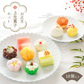 【ふるさと納税】 和菓子 菓子 生菓子 10個 セット お正月 迎春 上 和スイーツ 皇室献上 生菓子 羊羹 練り切り 饅頭 蕎麦薯蕷饅頭 鹿の子 初詣 干支 お年賀 薯蕷ねりきり 梅ようかん 栗桃山 きんとん 軽羹 初春 ギフト お歳暮 お取り寄せ 高級 上品 三省堂 （VYD） 【B-941】
