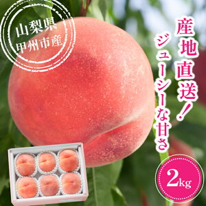 yӂ邳Ɣ[Łz  2026N s\ 2kg 5ʁ`8 ʕ  { ̂ t[c  ZT[I 員̓  W[V[ VN ϔ  Mtg  ① Ԍ 