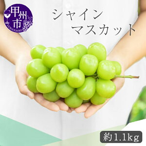 yӂ邳Ɣ[Łz VC}XJbg 2026N s\ Iׂ e 1[ 700gȏ 2[`3[ 1.1kg ʕ VN Yn ʌ Ԍ t[c  Ԃǂ {  ϔ p 